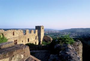 lorrach-von-burg-roteln