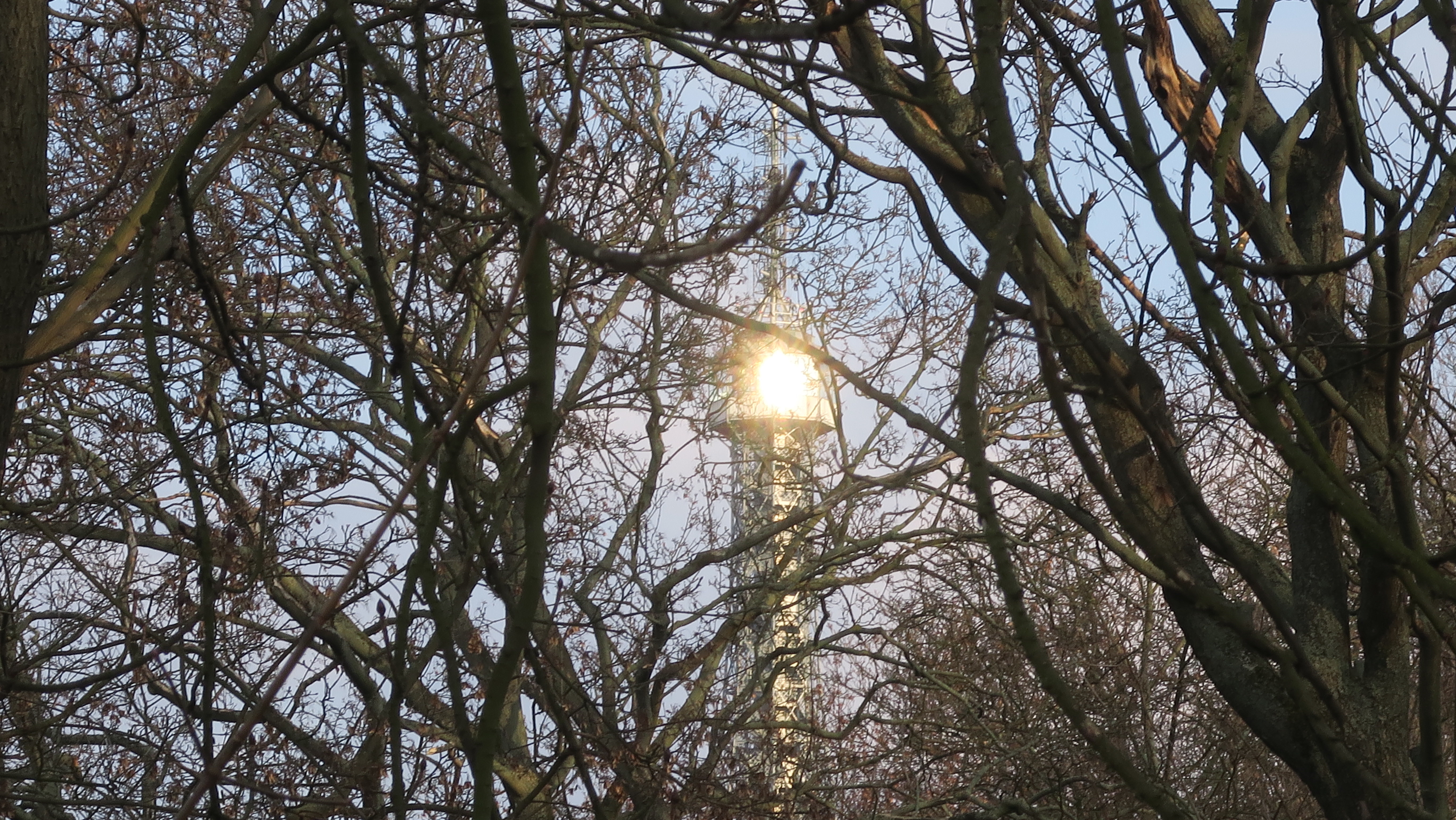 67EE2193-722B-4113-9DDD-7954D5CE887D