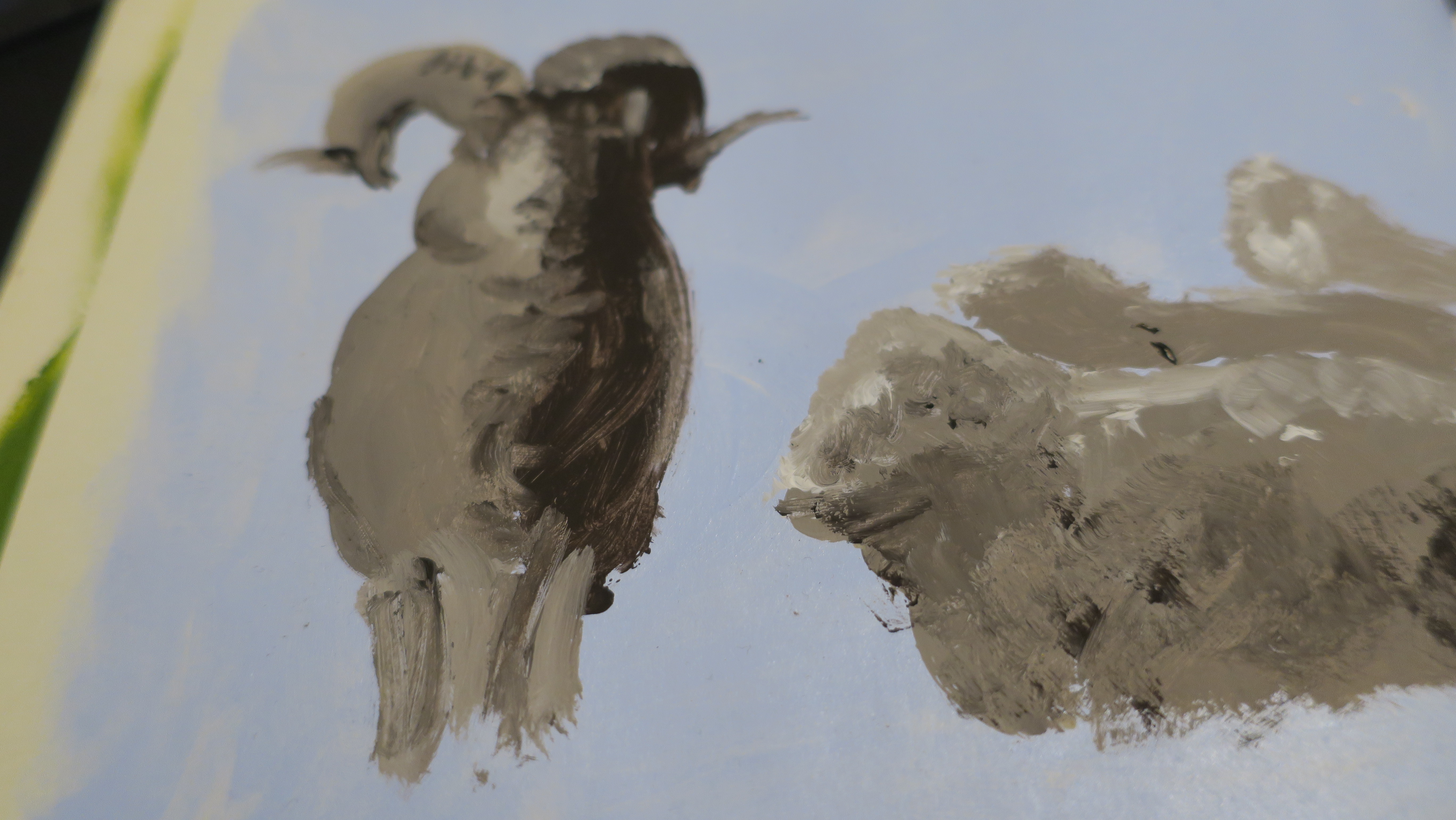 2173B63E-3DA1-474D-B836-CCBCBB1B0DFA