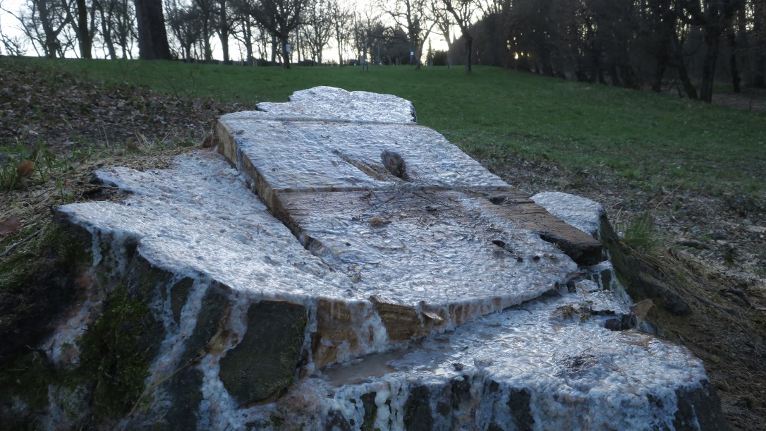 BDD58BC4-E4A5-4730-AF98-139BA76FEDB3