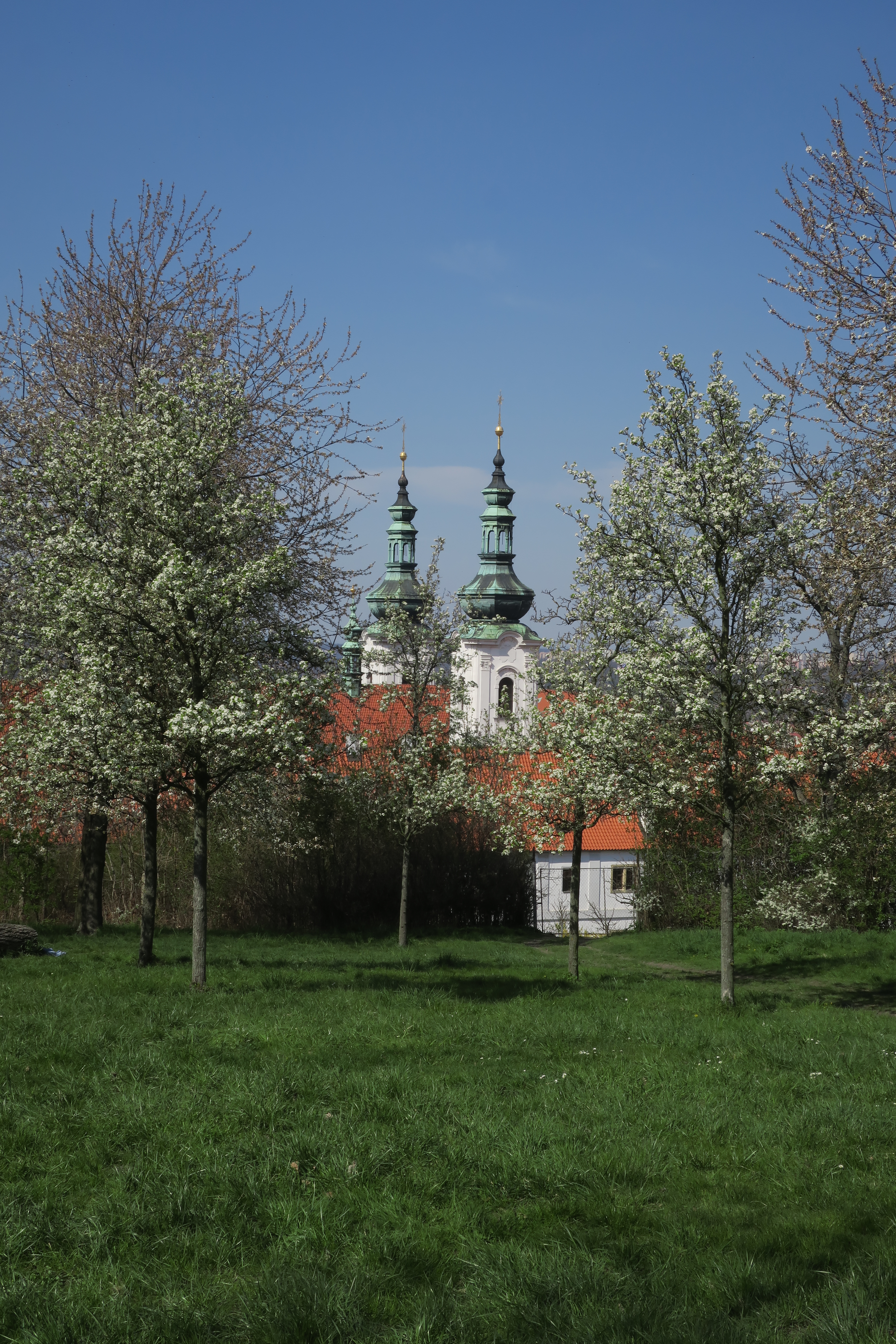 E7B896B9-340C-4E53-ACBD-C37E020D7123