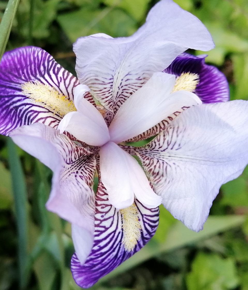 IMAGE 2021-05-30 21:33:09