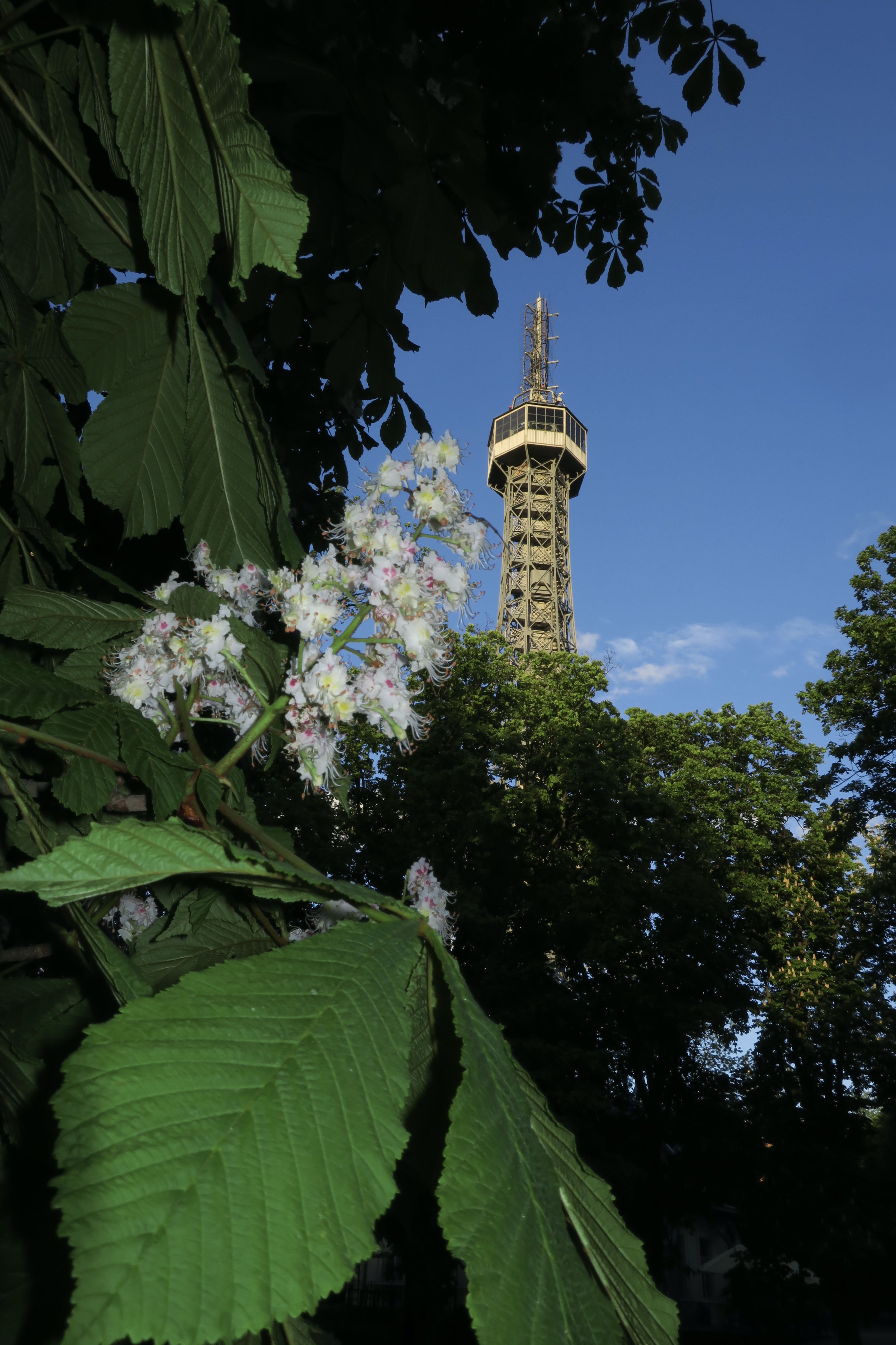 8877cc21-df48-4392-8887-e0a828b7328f_1_201_a