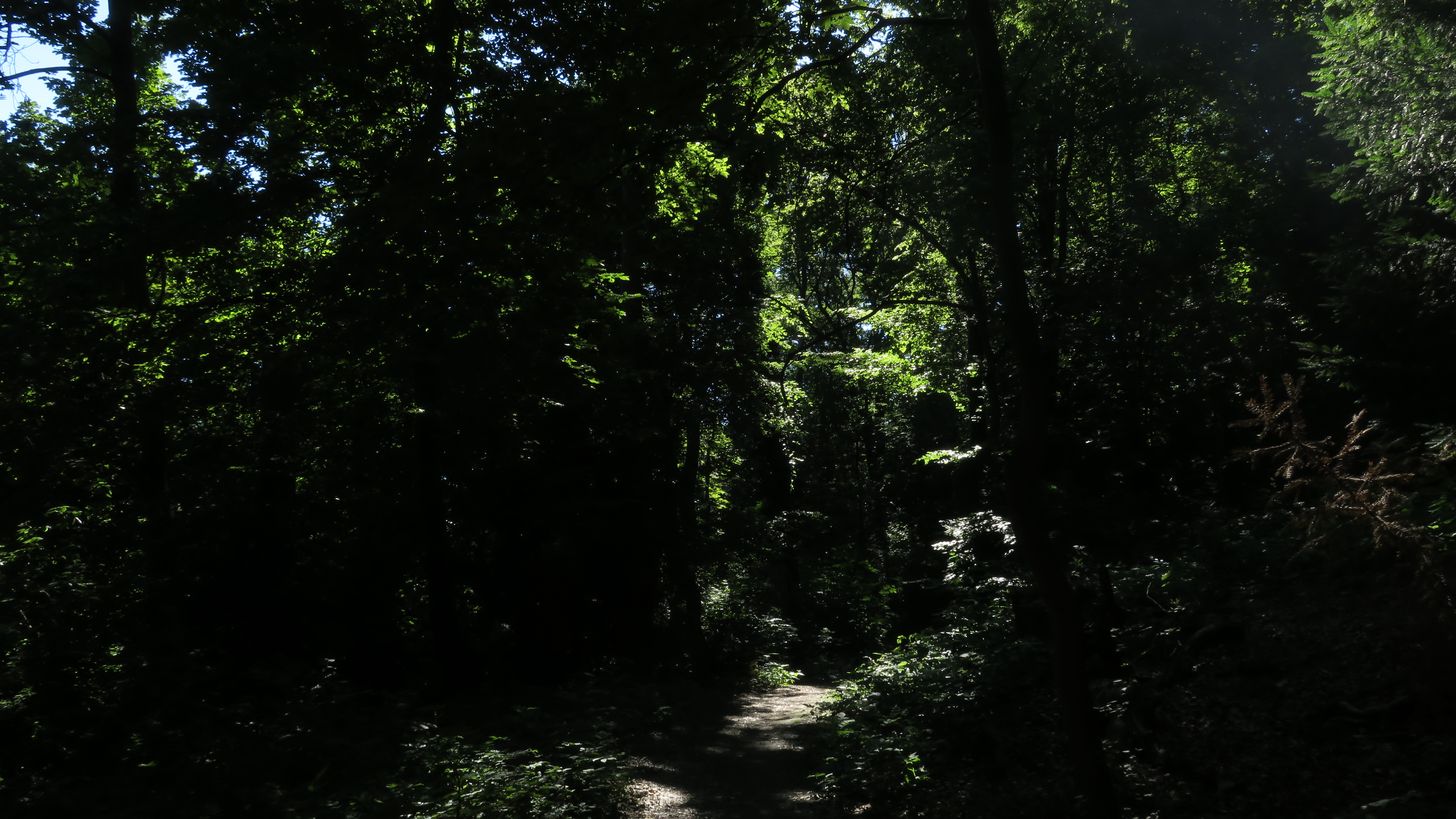 7160CF29-7E19-401A-BE0C-3B72E7F7DF4D