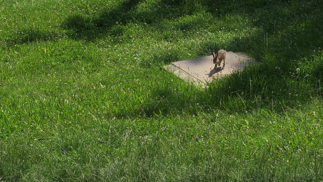 eed80815-7557-4edf-9aae-a7e783b9262d