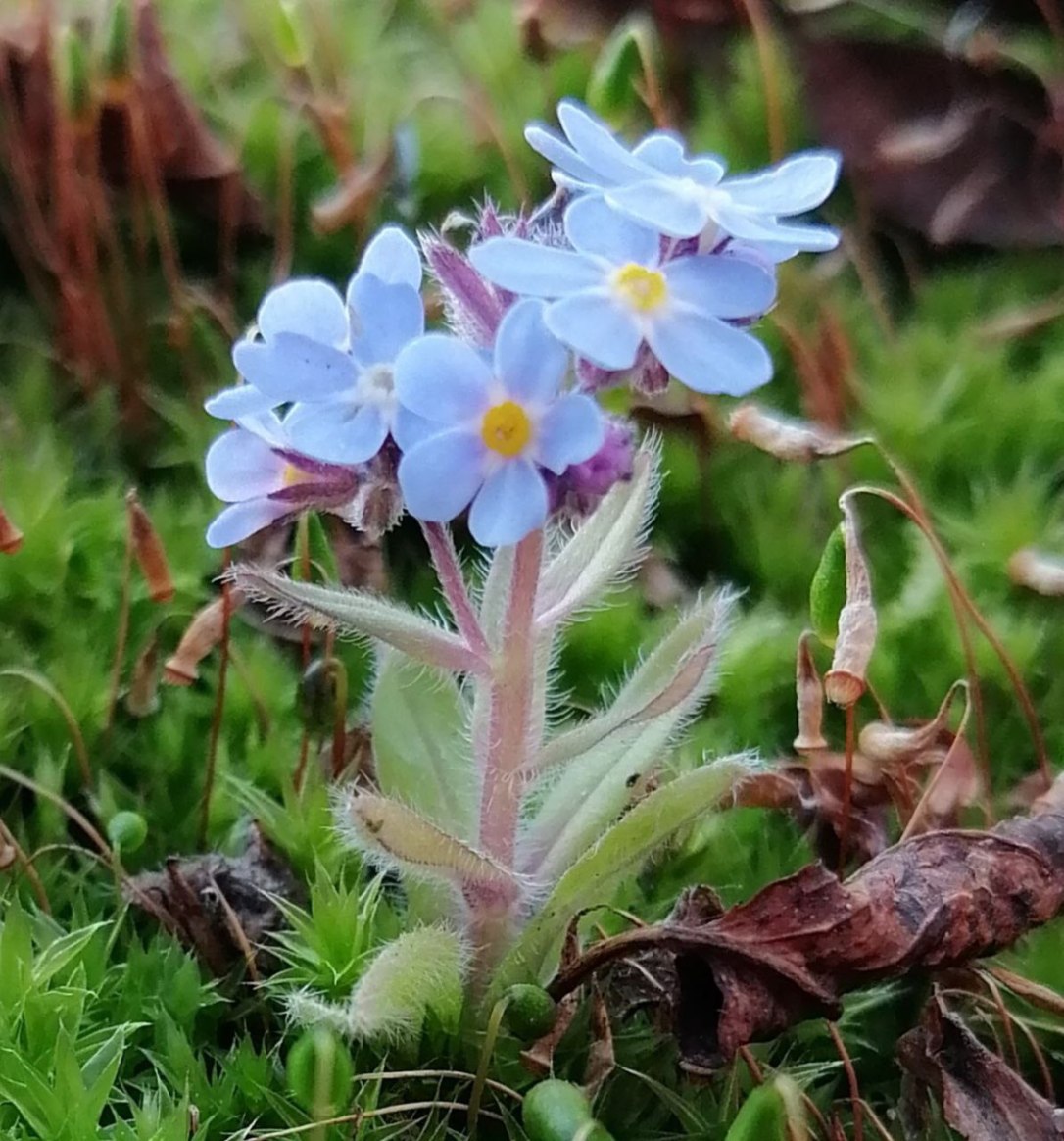 IMAGE 2022-04-17 09:18:20