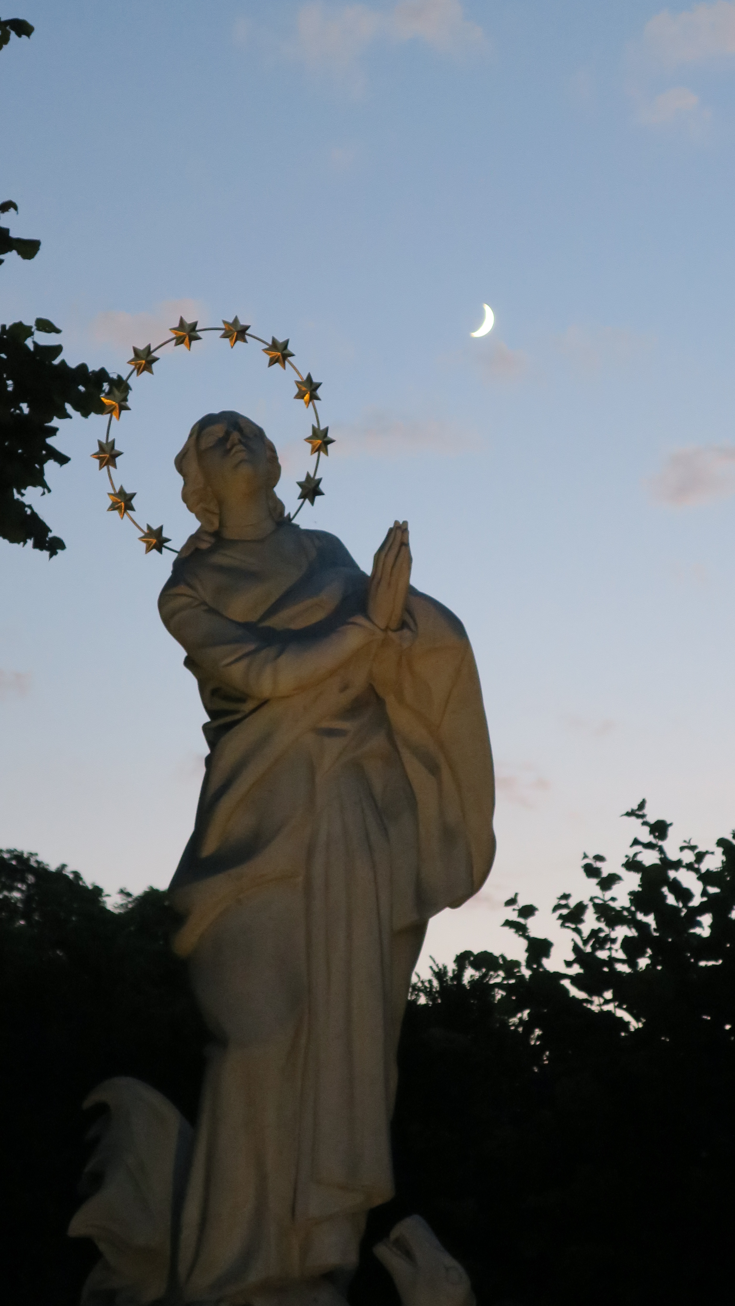 263CCF59-B7BF-4ECA-BB47-7B085DB79A10